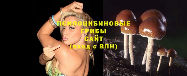 кокаин премиум Алзамай