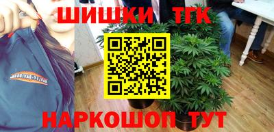 гидропоника Гусь-Хрустальный