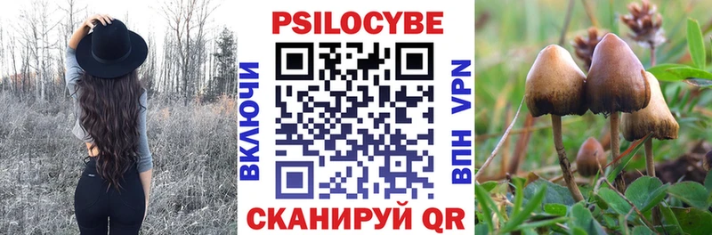 где купить наркоту  blacksprut как войти  Псилоцибиновые грибы мухоморы  Сосновый Бор 