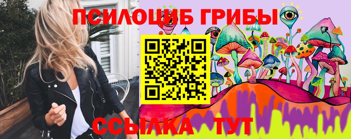 Псилоцибиновые грибы GOLDEN TEACHER  Галлюциногенные грибы Cubensis  Сосновый Бор  Вход с VPN 
