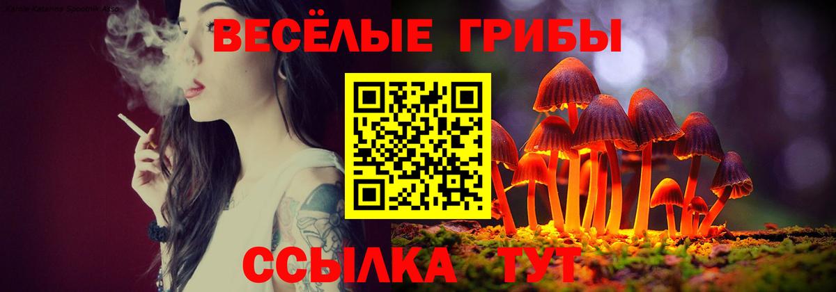 Галлюциногенные грибы прущие грибы Сосновый Бор